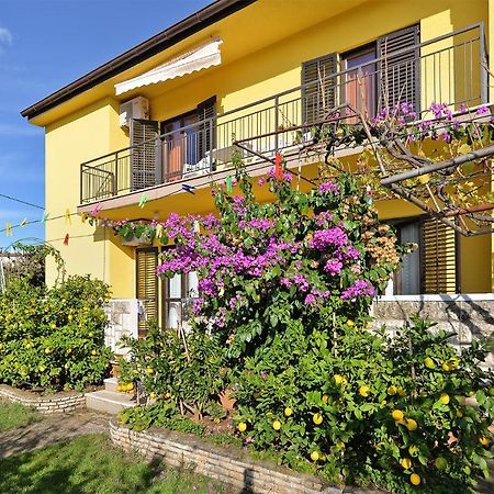 Apartments Danijel 1956 بولا المظهر الخارجي الصورة