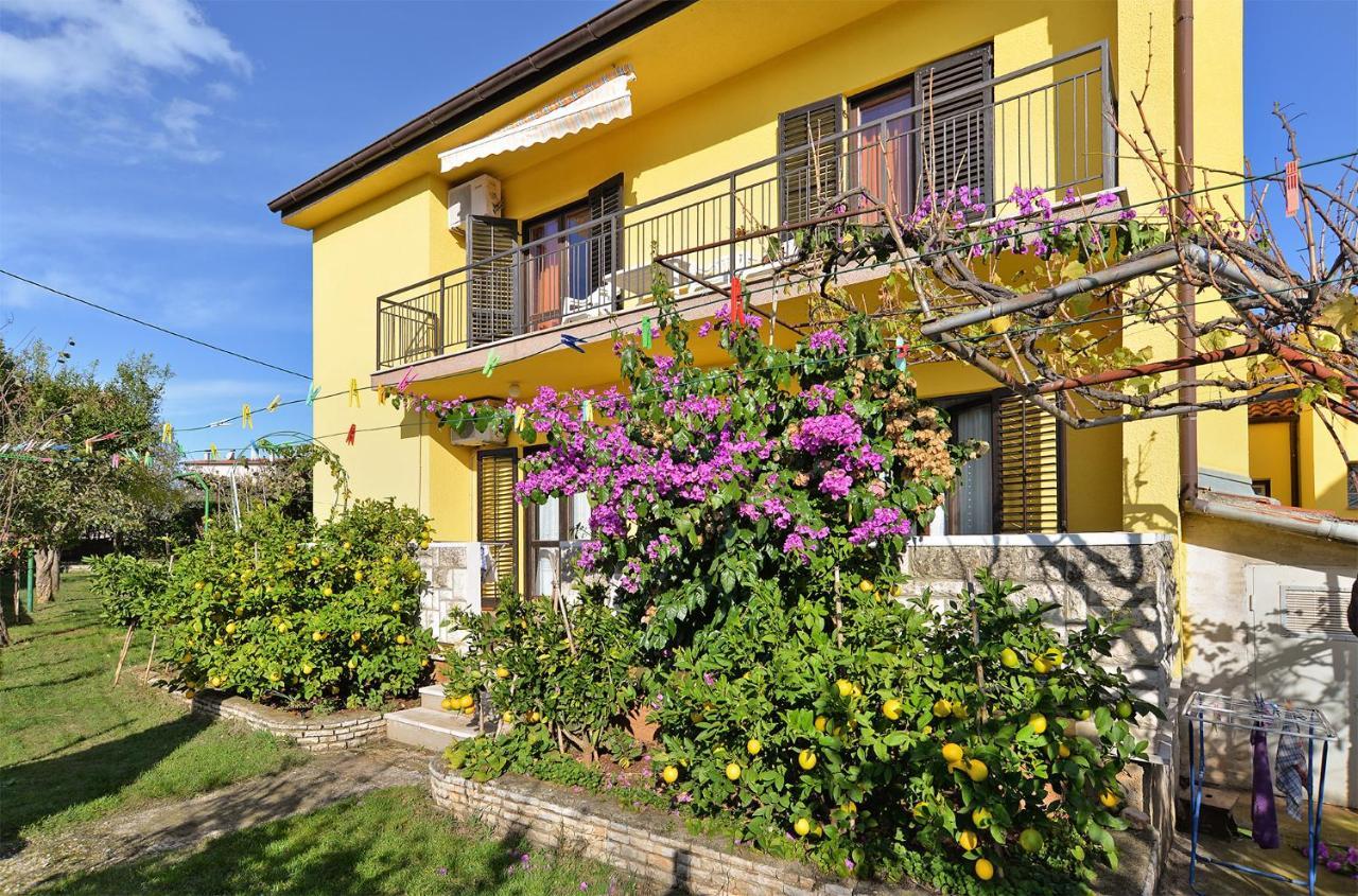 Apartments Danijel 1956 بولا المظهر الخارجي الصورة